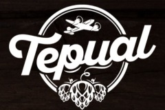 Tepual